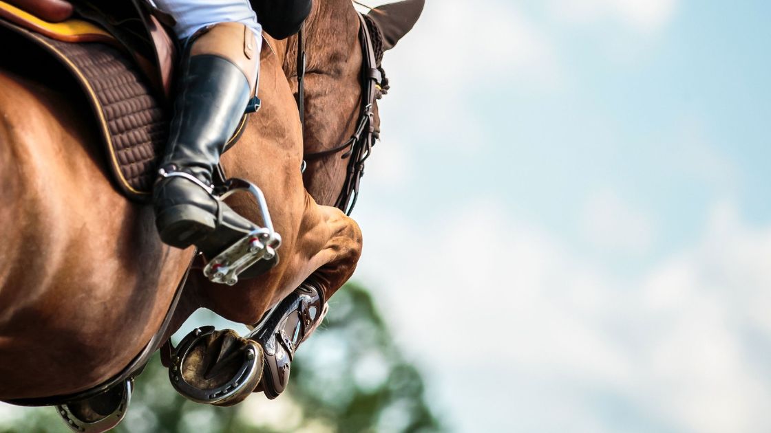 High Performance Hemp Horse Feed